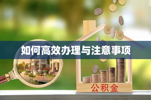 溪州如何高效办理与注意事项