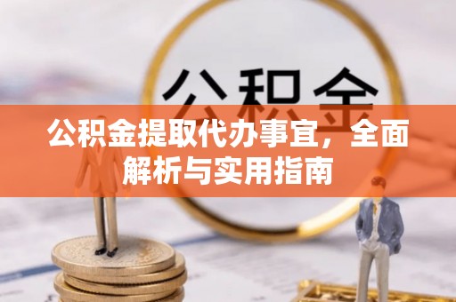 溪州公积金提取代办事宜，全面解析与实用指南