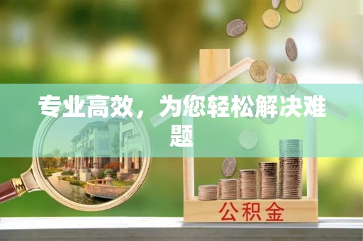溪州专业高效，为您轻松解决难题