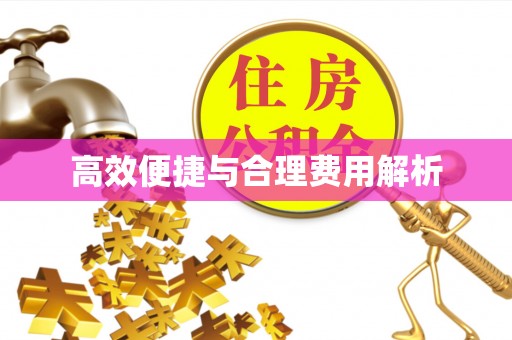 溪州高效便捷与合理费用解析