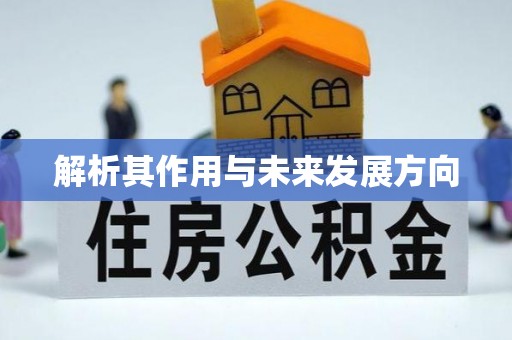 溪州解析其作用与未来发展方向