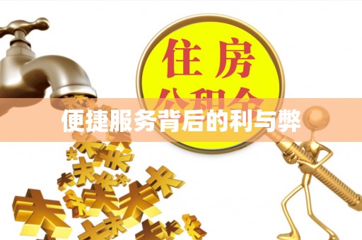 溪州便捷服务背后的利与弊